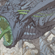 Image for article titled One of Brandon Sanderson's Unreleased Fantasy Novels Is Becoming a Graphic Novel